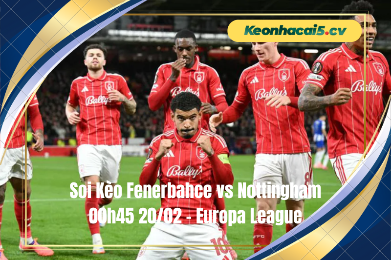 Đội hình dự kiến trước trận Fenerbahce vs Nottingham Đội hình dự kiến trước trận Fenerbahce vs Nottingham